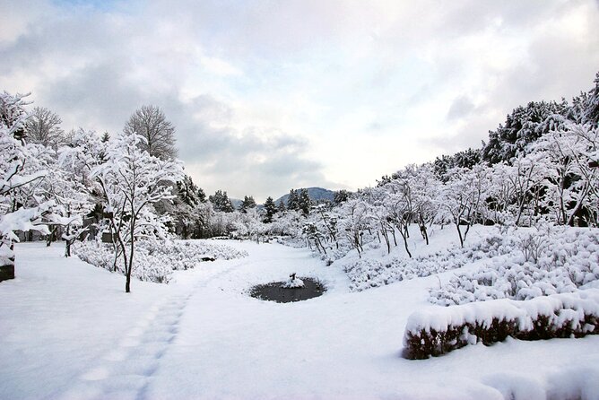Elysian Gangchon Winter Ski with Nami Island Day Tour from Seoul - Three and a half hours among Nami Island’s trees