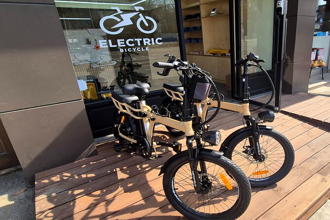 ENKO Electric Bike Ride on The Han River Bike Path in Seoul - Weather, timing, and the practical details