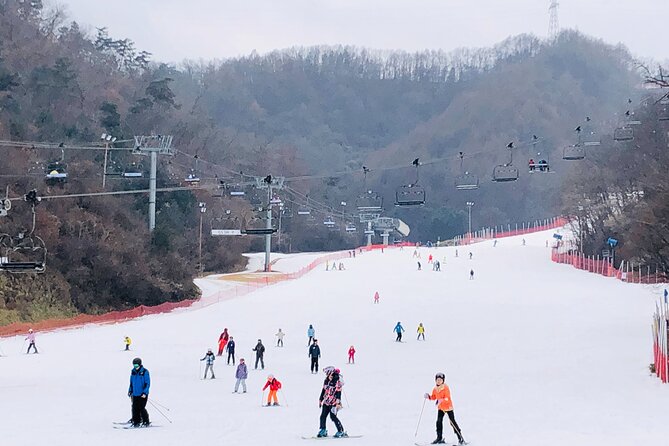 Eobi Ice Valley / Elysian Ski Resort / Nami Island - Nami Island trades ski boots for tree-lined paths