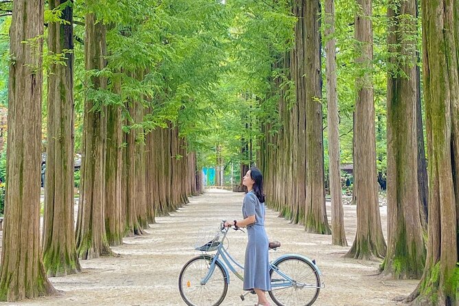 Eobi Ice Valley& Nami Island with Garden of Morning Calm Trip - Cancellation and practical planning