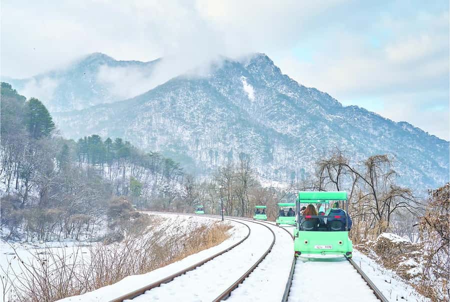 Eobi Ice Valley & Nami (+ Light Festival, Railbike, Alpaca) - Choosing the Garden of Morning Calm Light Festival