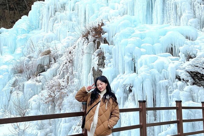 Eobi Ice Wall & Nami Island & Morning Calm Light Festival - Nami Island, the day’s main event