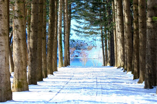 Eobi Ice Wall & Nami Island & Morning Calm Light Festival - Who will enjoy this Seoul day trip