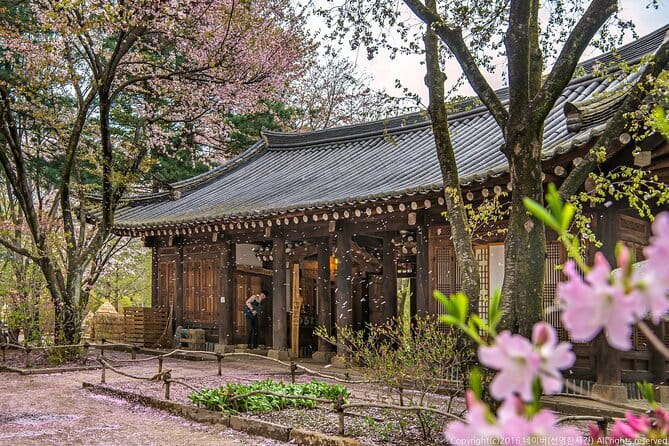 Eobi+Nami+Hanbok Tour with Rail Bike or Strawberry Option - Key points to know before you book