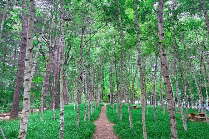 Eobi+Nami+Hanbok Tour with Rail Bike or Strawberry Option - Should you book the Eobi, Nami, and Hanbok tour?