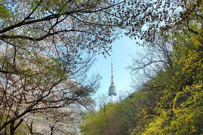 Essence of Seoul, 100% Private Full Day City Tour - Bukchon Hanok Village requires a considerate visit