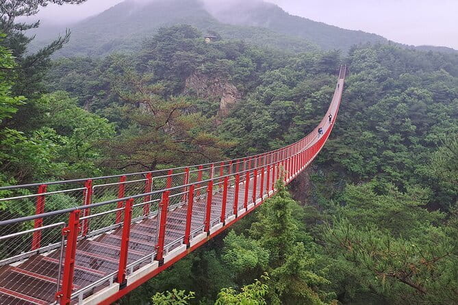 Explore DMZ from Seoul +(optional) Gondola/Red Suspension Bridge - Key points to know before booking