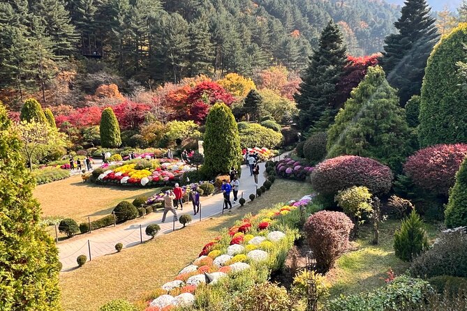 Four Seasons of Nami Island with Garden of Morning Calm Tour - Pickup, timing, and the shape of the day
