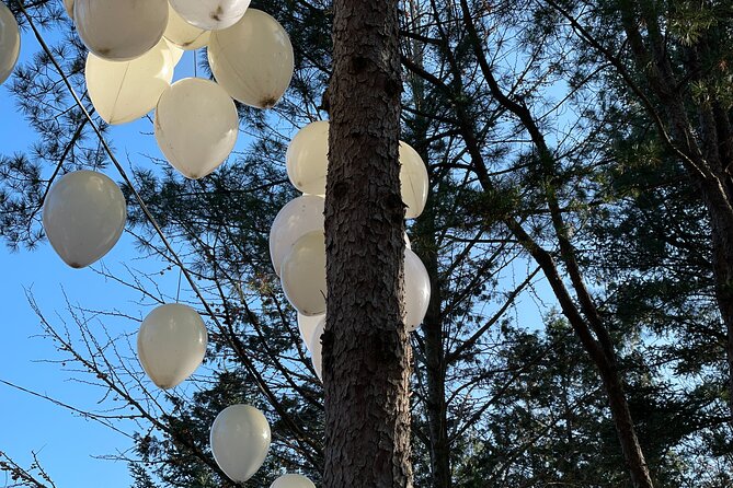Four Seasons of Nami Island with Garden of Morning Calm Tour - Which guide style might suit you?