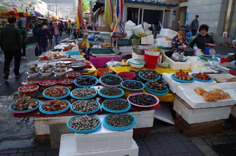 From Seoul: 5-Day Tour of Korea with UNESCO Sites - Day three: Jinjuseong Fortress and Busan’s seafood market