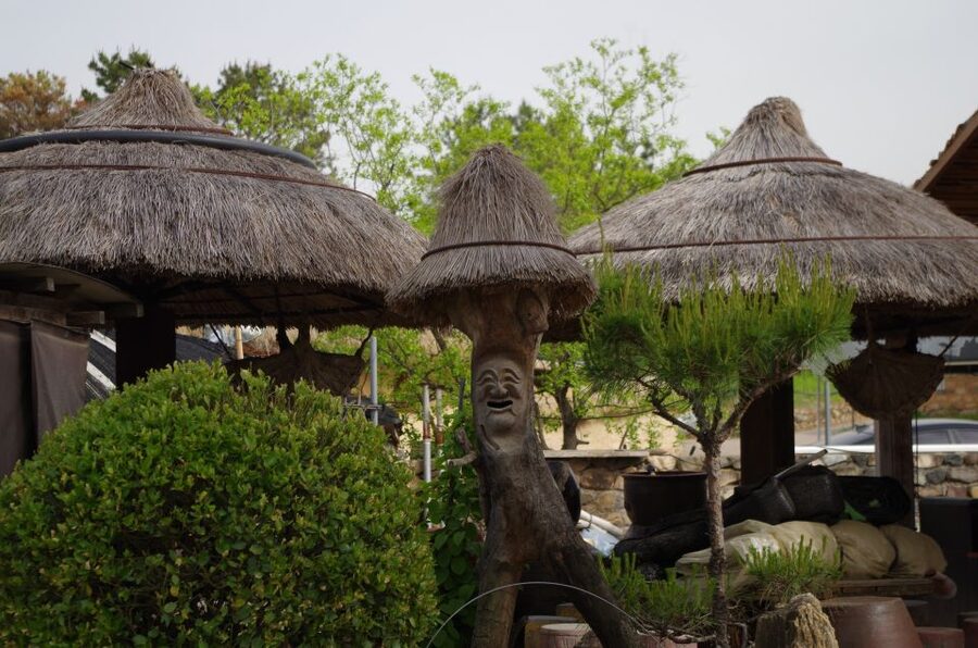 From Seoul: 5-Day Tour of Korea with UNESCO Sites - Who should book this Korea tour?