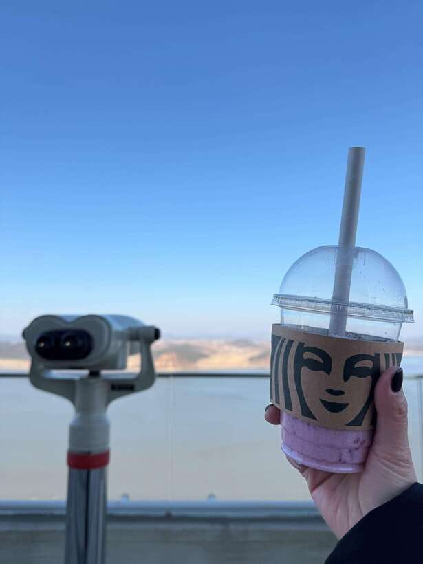 From Seoul: Aegibong Starbucks Observatory & DMZ View - Key things to know before you go