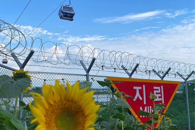 From Seoul: Cost-Benefit DMZ Shuttle Bus tour - Dora Observatory and the view toward North Korea