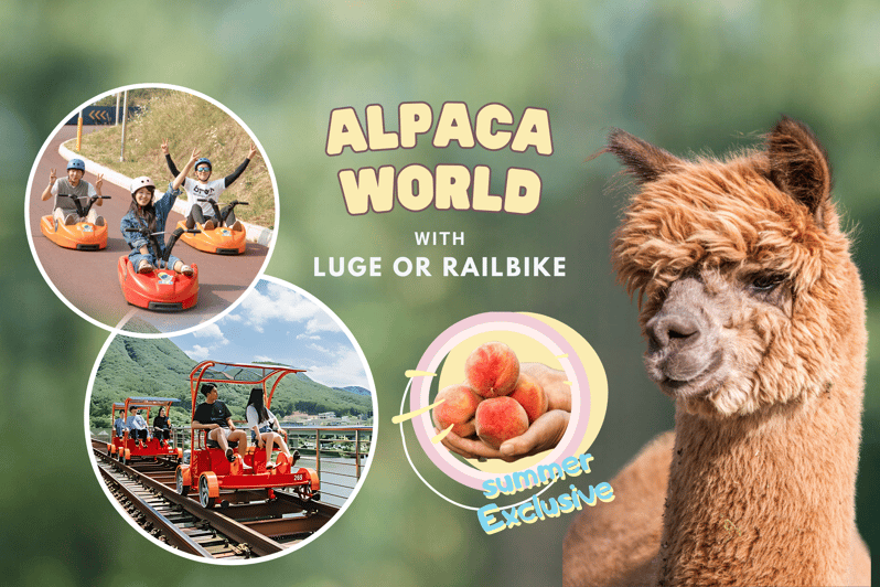 From Seoul: Full Day Trip to Alpaca Farm with Rail Bike - Key points at a glance