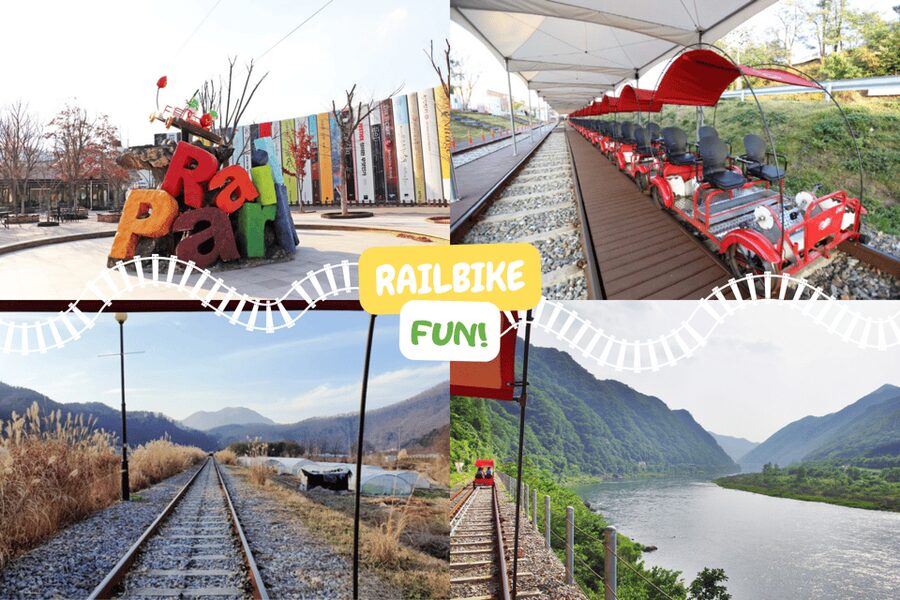 From Seoul: Full Day Trip to Alpaca Farm with Rail Bike - Alpaca World is more than a photo stop
