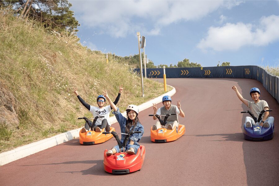 From Seoul: Full Day Trip to Alpaca Farm with Rail Bike - The rail bike follows an old railway beside the Bukhan River