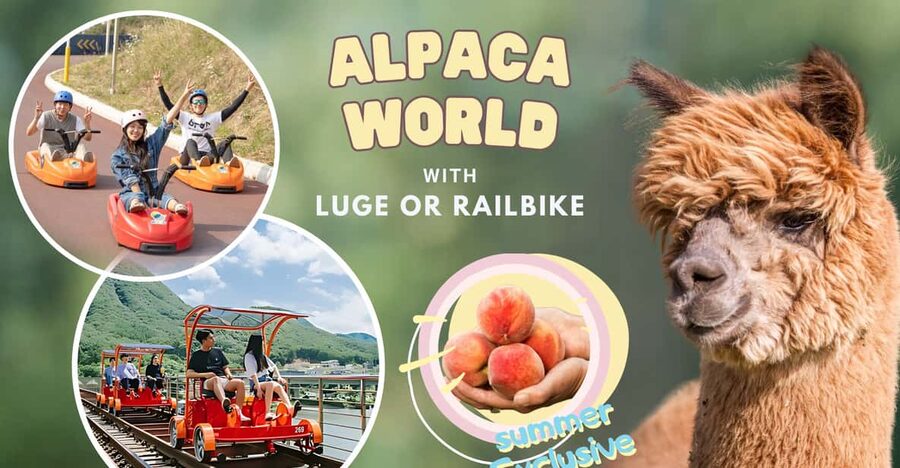 From Seoul: Full Day Trip to Alpaca Farm with Rail Bike - Lunch is convenient, but budget for it