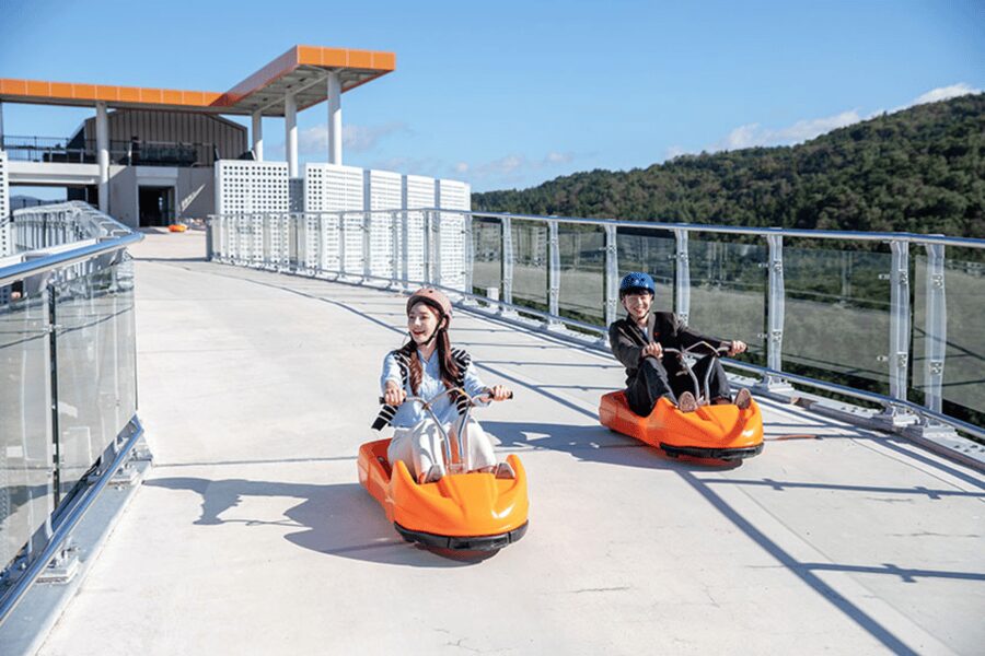 From Seoul: Full Day Trip to Alpaca Farm with Rail Bike - Guides Rose and David can shape the day