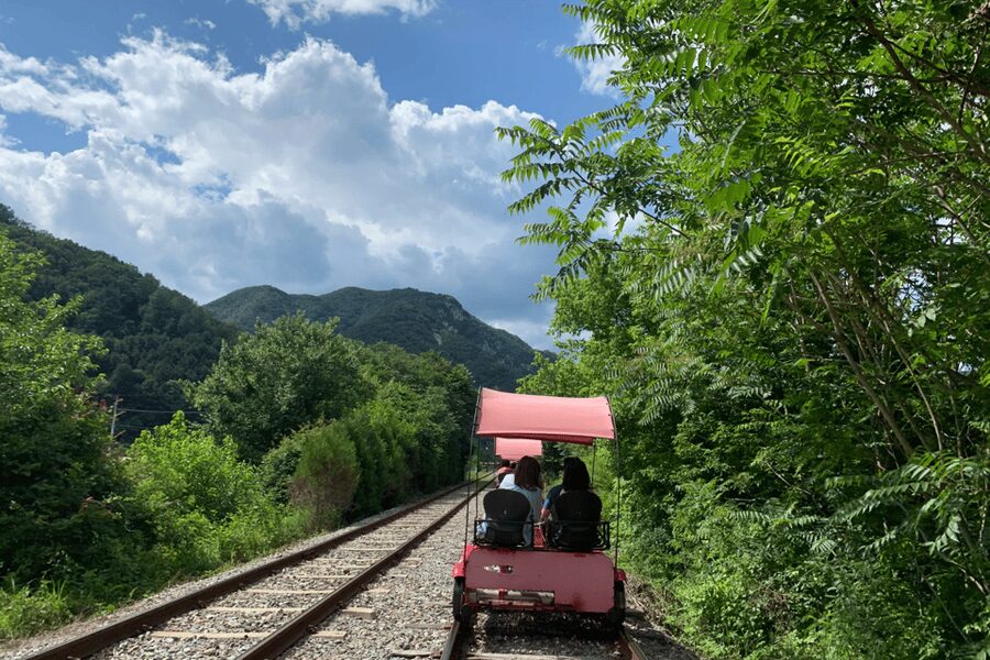From Seoul: Full Day Trip to Alpaca Farm with Rail Bike - Leaving Seoul from three practical meeting points
