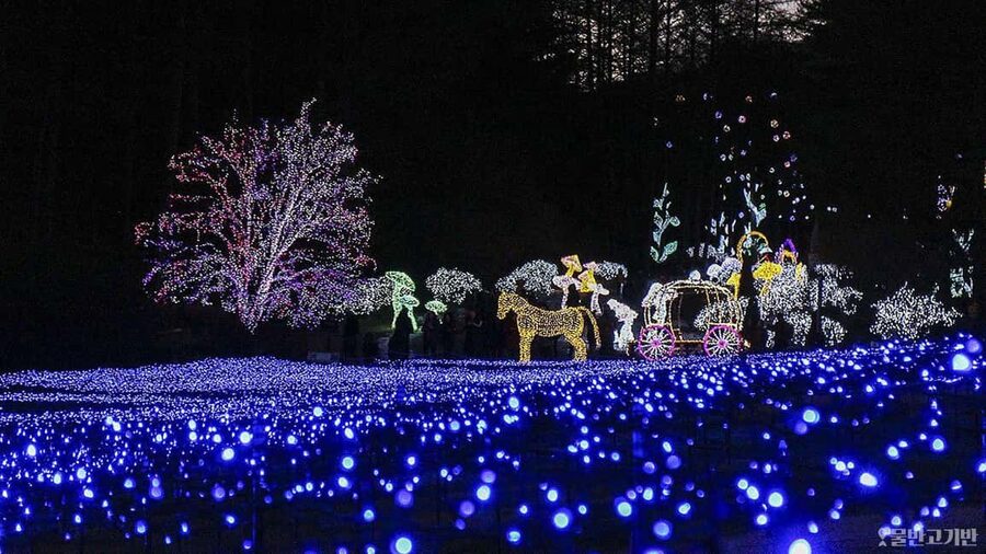 From Seoul: Hwacheon Ice Fishing and Lighting Festival Tour - Key points to know before booking