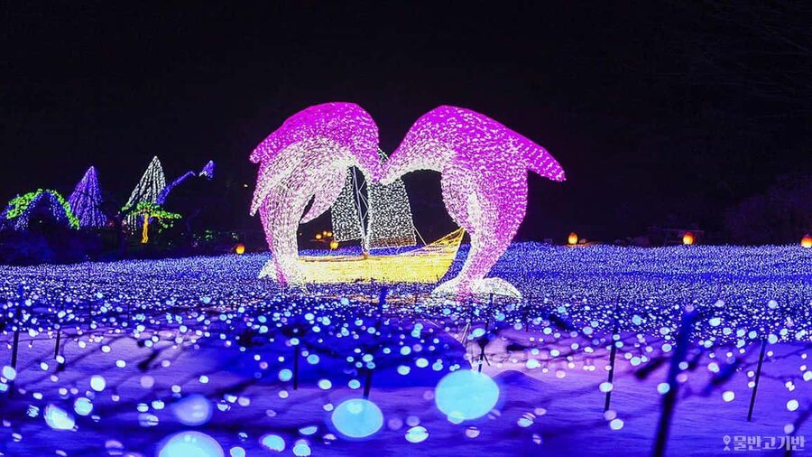 From Seoul: Hwacheon Ice Fishing and Lighting Festival Tour - Why this winter pairing works