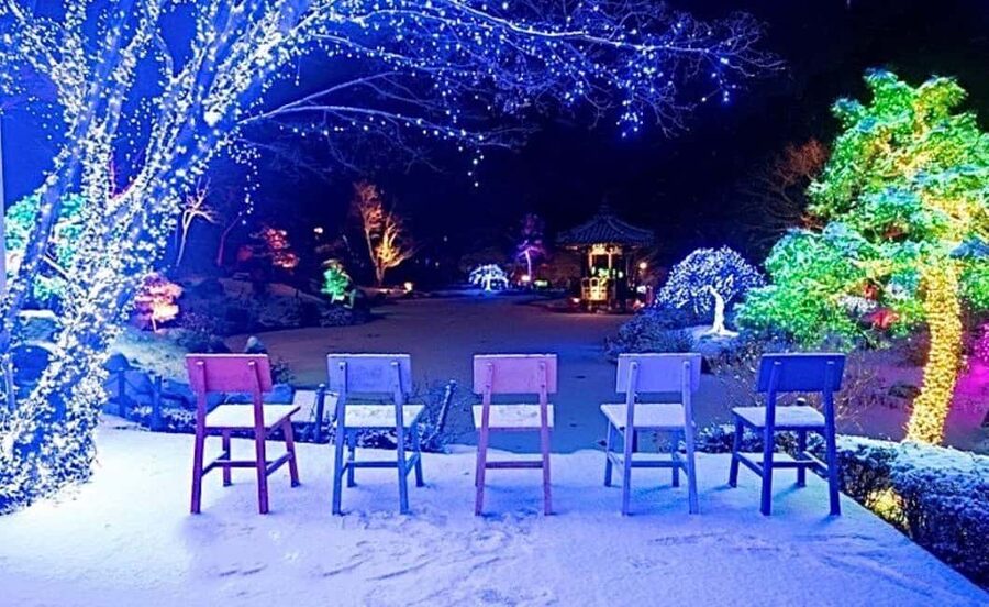 From Seoul: Hwacheon Ice Fishing and Lighting Festival Tour - Hwacheon Ice Festival: fishing, sleds, and trout