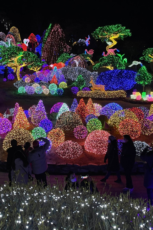 From Seoul: Hwacheon Ice Fishing and Lighting Festival Tour - Garden of Morning Calm after sunset
