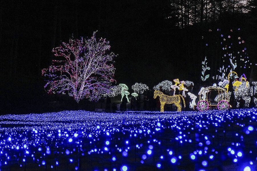 From Seoul: Hwacheon Ice Fishing and Lighting Festival Tour - What $67 buys you in practical terms