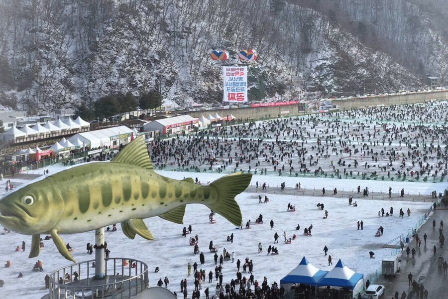 From Seoul: Hwacheon Ice Fishing and Lighting Festival Tour - Who should choose this day trip
