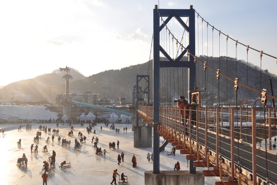 From Seoul: Hwacheon Ice Fishing and Lighting Festival Tour - Booking details worth checking