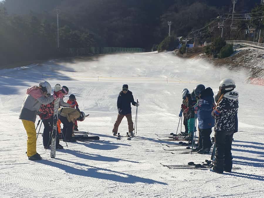 From Seoul: Korea Ski Tour - Jisan Forest Resort - The 120-minute beginner ski lesson