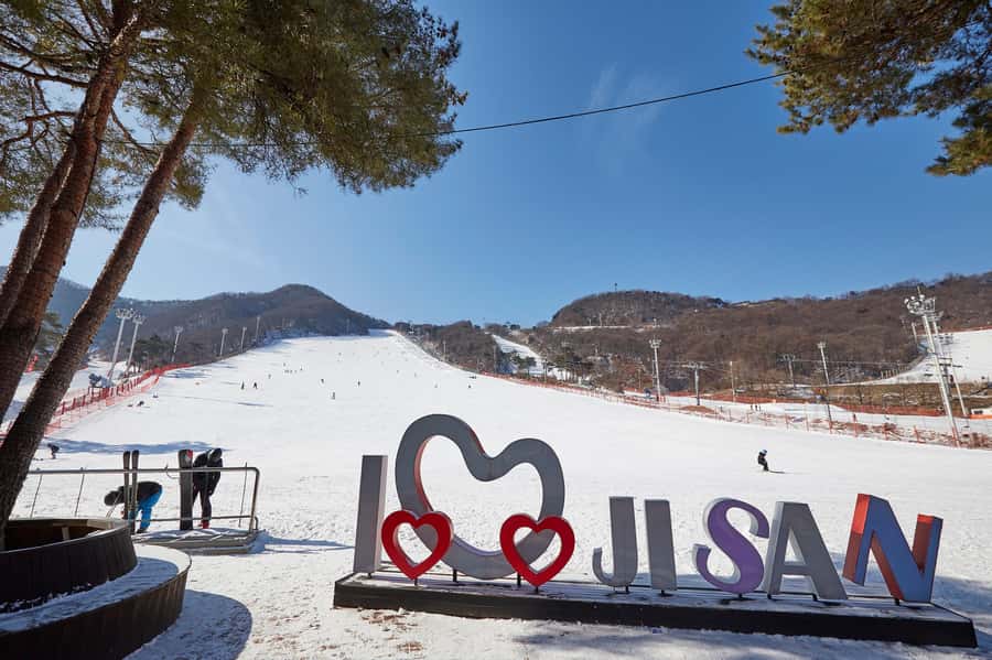 From Seoul: Korea Ski Tour - Jisan Forest Resort - Free time on Jisan’s slopes
