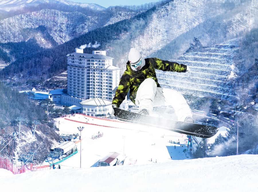 From Seoul: Korea Ski Tour - Jisan Forest Resort - Returning to Seoul for dinner