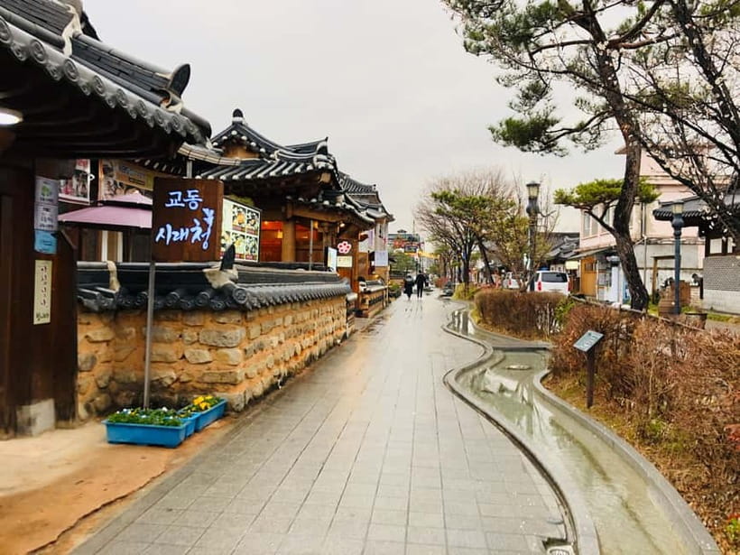 From Seoul: Korea Spring Cherry Blossom Day Tour - How the guides shape the experience