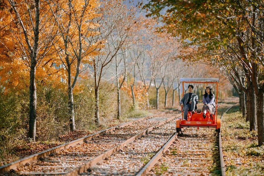 From Seoul: Nami Island, K-drama Garden & Rail Bike Day Tour - Key points to know before you book