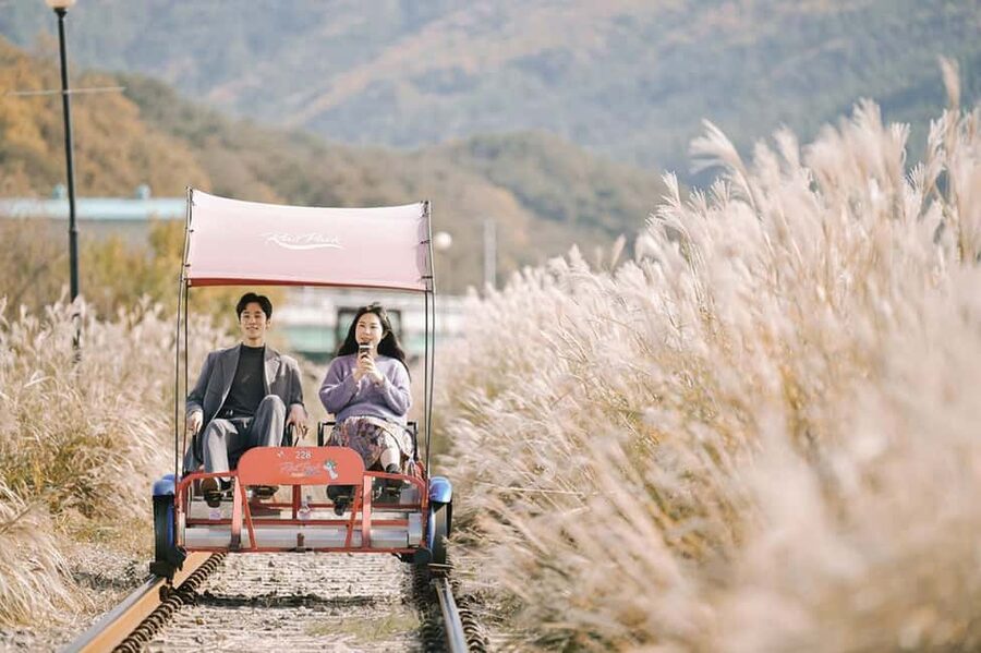From Seoul: Nami Island, K-drama Garden & Rail Bike Day Tour - Garden of Morning Calm: flowers, paths, and winter lights