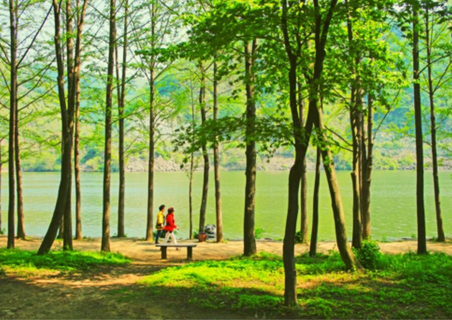 From Seoul: Nami Island, K-drama Garden & Rail Bike Day Tour - Gangchon Rail Bike beside the Bukhan River