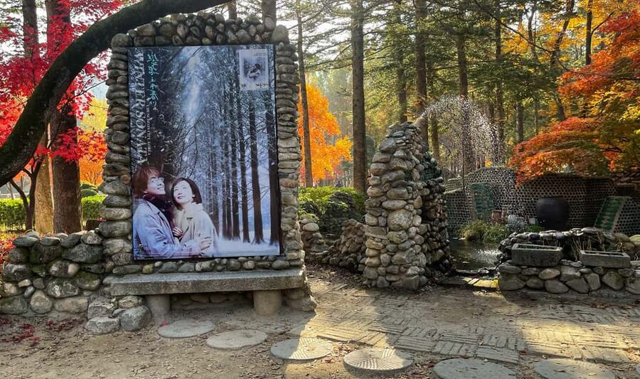 From Seoul: Nami Island, K-drama Garden & Rail Bike Day Tour - Who will get the most from this tour