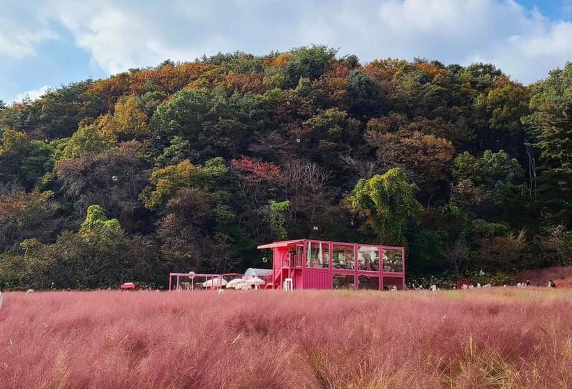 From Seoul: Pocheon, Sanjung Lake and Bidulginang Fall Trip - Why Pocheon makes a good break from Seoul