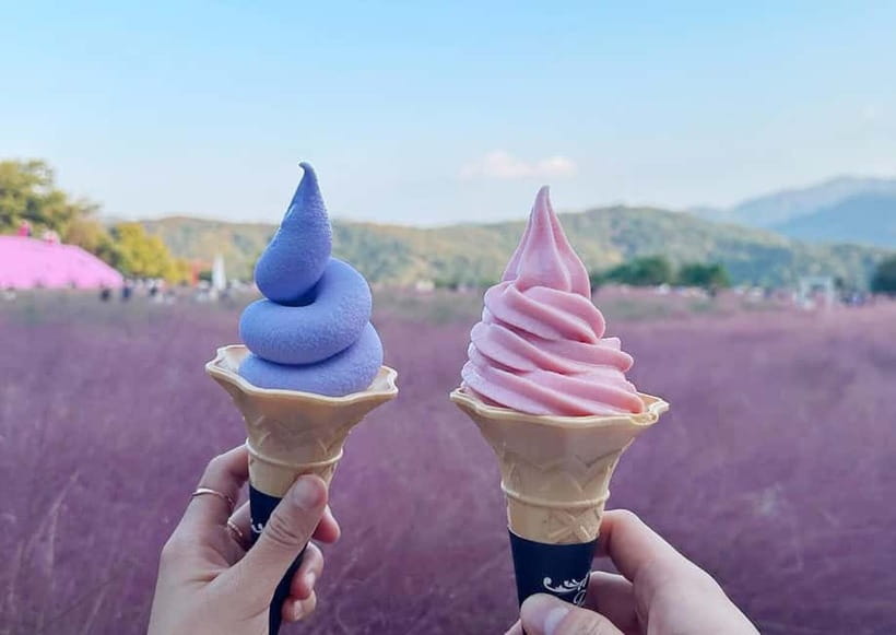 From Seoul: Pocheon, Sanjung Lake and Bidulginang Fall Trip - Herb Island, gardens, and the best season for pink muhly