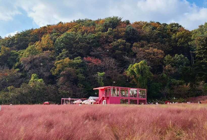 From Seoul: Pocheon, Sanjung Lake and Bidulginang Fall Trip - Is $55 good value?