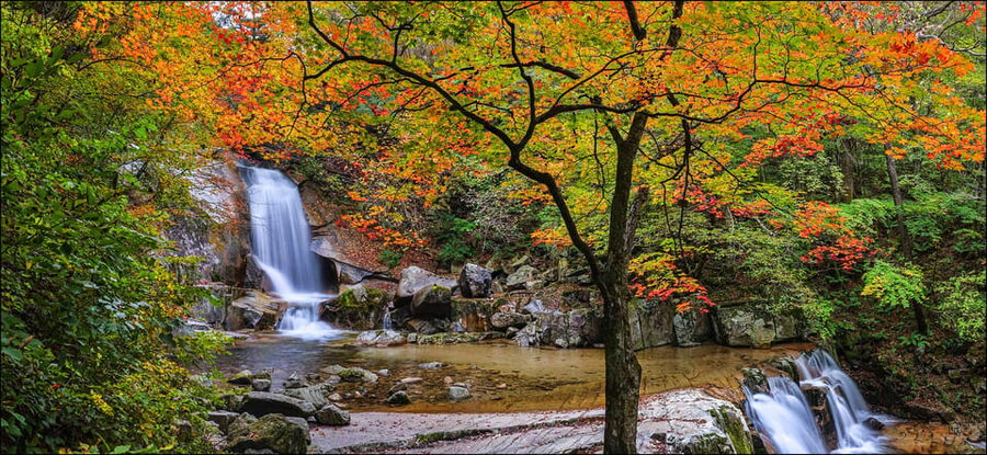 From Seoul: Seoraksan Mountain with Cable Car- Shuttle Bus - Key points to know before booking