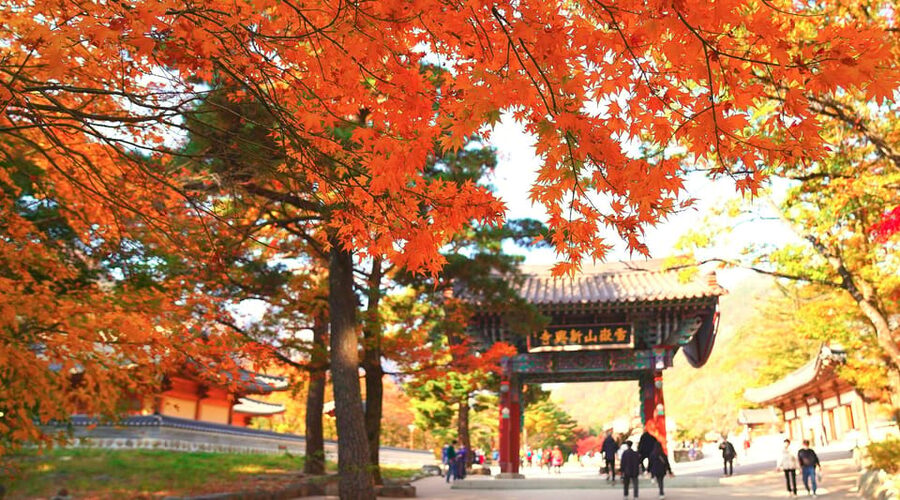 From Seoul: Seoraksan Mountain with Cable Car- Shuttle Bus - Why Seoraksan makes a strong escape from Seoul