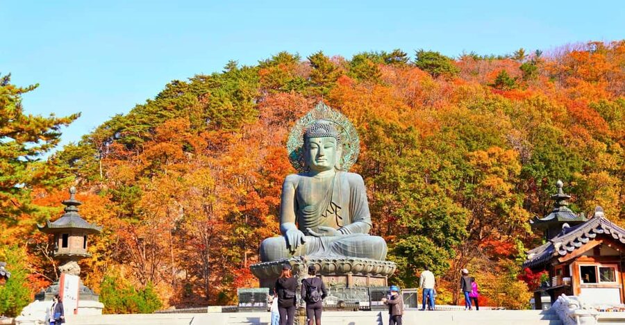 From Seoul: Seoraksan Mountain with Cable Car- Shuttle Bus - Sinheungsa Temple and the 14-meter bronze Buddha