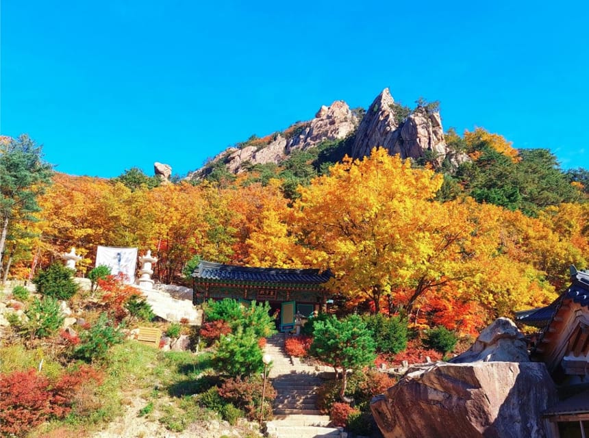 From Seoul: Seoraksan Mountain with Cable Car- Shuttle Bus - What the guides add to the experience