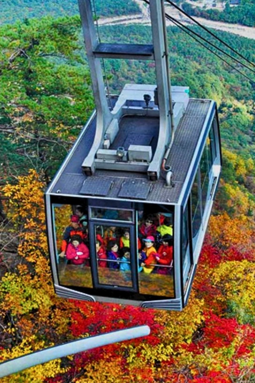 From Seoul: Seoraksan Mountain with Cable Car- Shuttle Bus - Autumn color, weather, and the risk of a changed plan