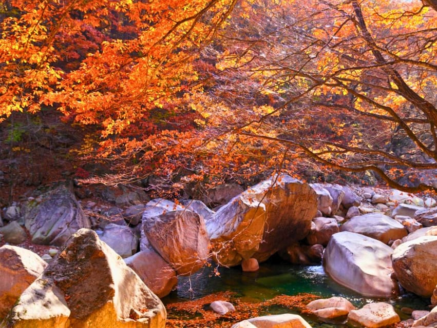 From Seoul: Seoraksan Mountain with Cable Car- Shuttle Bus - Who will enjoy this tour most?