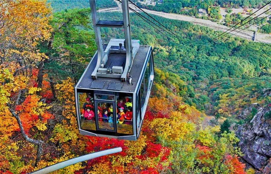 From Seoul: Seoraksan Mountain with Cable Car- Shuttle Bus - The trip from Seoul: useful, but not fully predictable