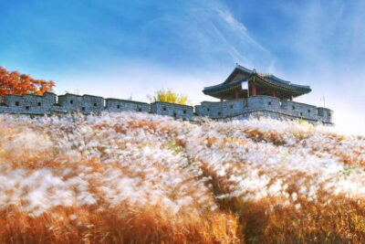 Suwon Hwaseong Fortress Tour