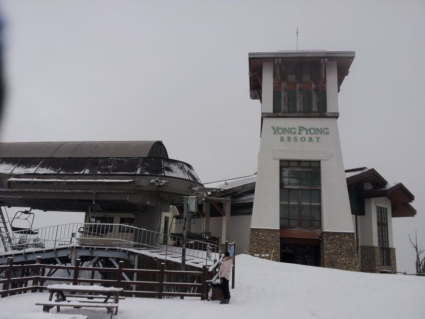 From Seoul: Yongpyong Ski Day Tour with Transportation - Why Yongpyong makes a good Seoul day trip